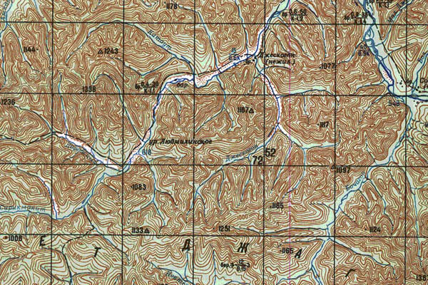 Уменьшенный фрагмент представленной топографической карты N-52-22 - Trasa.ru