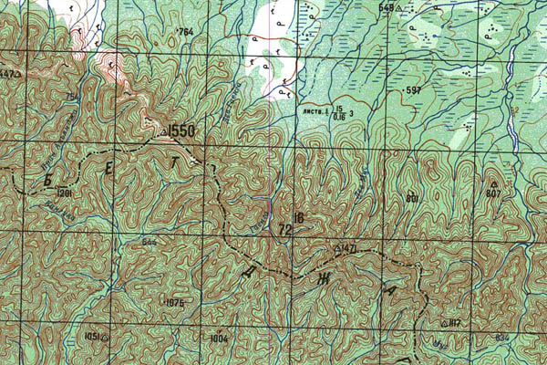 Уменьшенный фрагмент представленной топографической карты N-52-23 - Trasa.ru