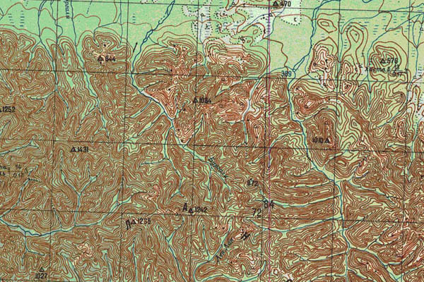 Уменьшенный фрагмент представленной топографической карты N-52-24 - Trasa.ru