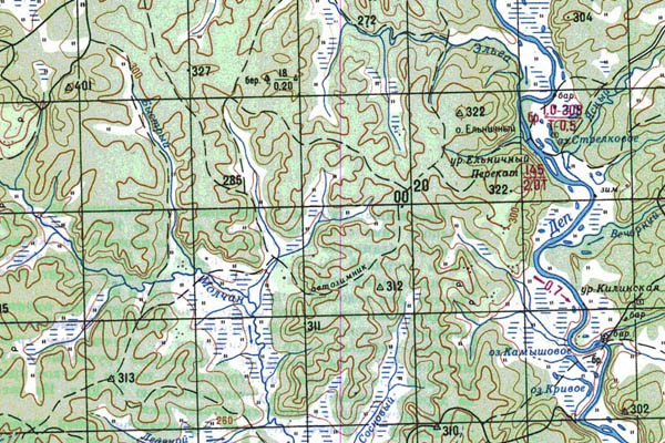 Уменьшенный фрагмент представленной топографической карты N-52-26 - Trasa.ru