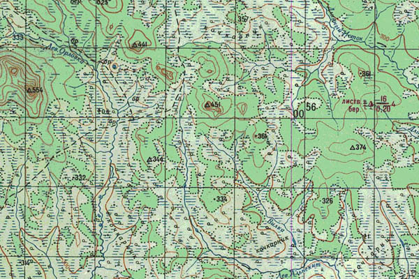 Уменьшенный фрагмент представленной топографической карты N-52-28 - Trasa.ru
