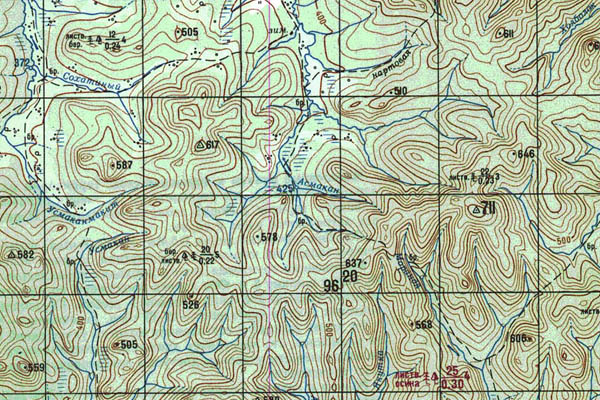 Уменьшенный фрагмент представленной топографической карты N-52-29 - Trasa.ru