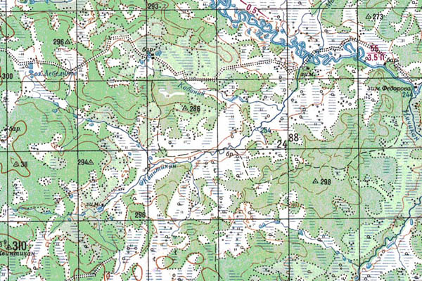 Уменьшенный фрагмент представленной топографической карты N-52-33 - Trasa.ru