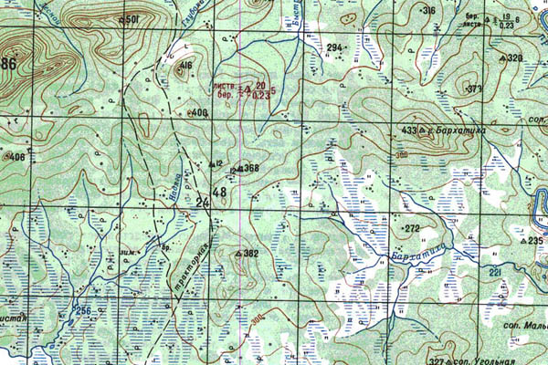 Уменьшенный фрагмент представленной топографической карты N-52-34 - Trasa.ru