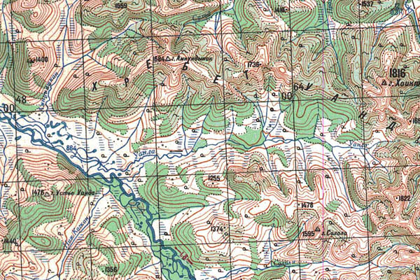 Уменьшенный фрагмент представленной топографической карты N-53-01 - Trasa.ru