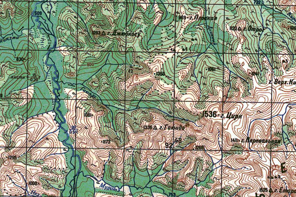 Уменьшенный фрагмент представленной топографической карты N-53-04 - Trasa.ru