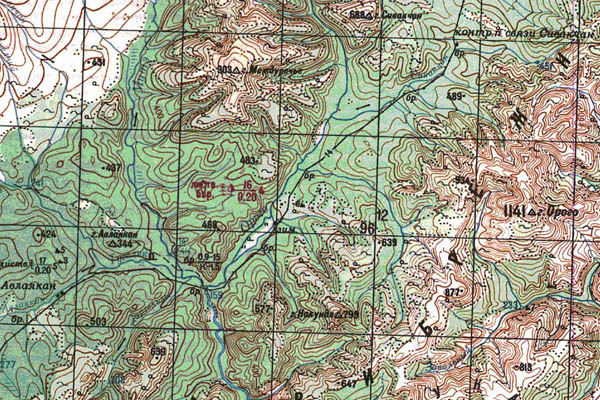 Уменьшенный фрагмент представленной топографической карты N-53-05 - Trasa.ru
