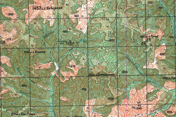 Уменьшенный фрагмент представленной топографической карты N-53-08 - Trasa.ru