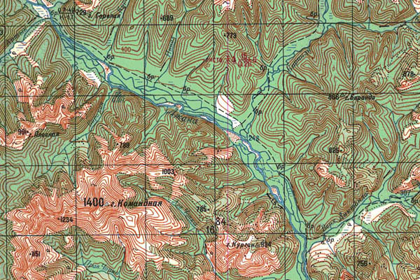 Уменьшенный фрагмент представленной топографической карты N-53-09 - Trasa.ru