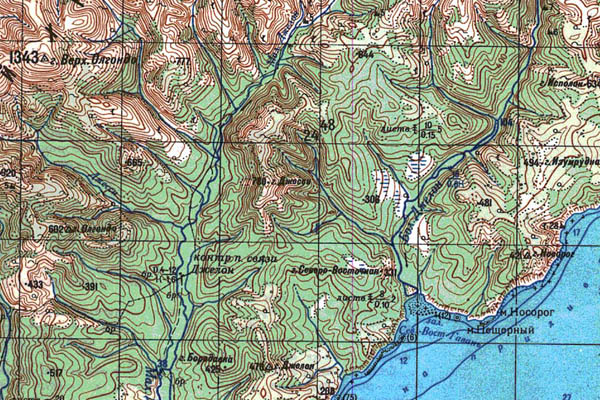 Уменьшенный фрагмент представленной топографической карты N-53-10 - Trasa.ru