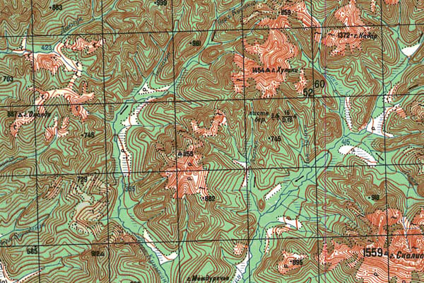 Уменьшенный фрагмент представленной топографической карты N-53-13 - Trasa.ru