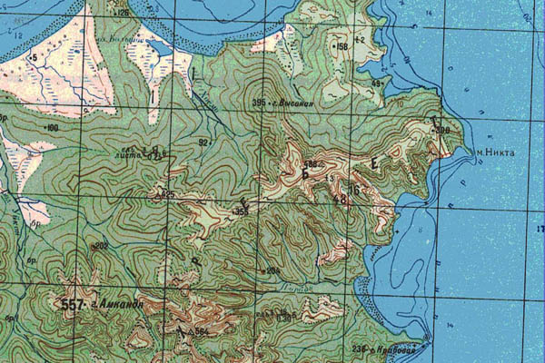 Уменьшенный фрагмент представленной топографической карты N-53-17 - Trasa.ru