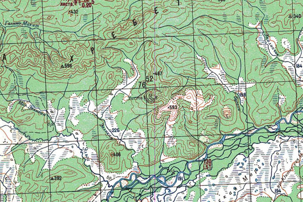 Уменьшенный фрагмент представленной топографической карты N-53-19 - Trasa.ru
