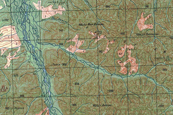 Уменьшенный фрагмент представленной топографической карты N-53-20 - Trasa.ru