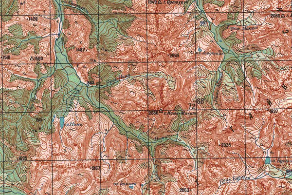 Уменьшенный фрагмент представленной топографической карты N-53-21 - Trasa.ru