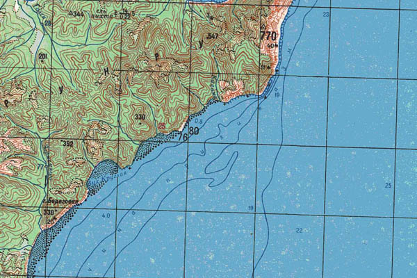 Уменьшенный фрагмент представленной топографической карты N-53-24 - Trasa.ru