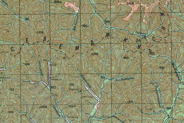 Уменьшенный фрагмент представленной топографической карты N-53-25 - Trasa.ru