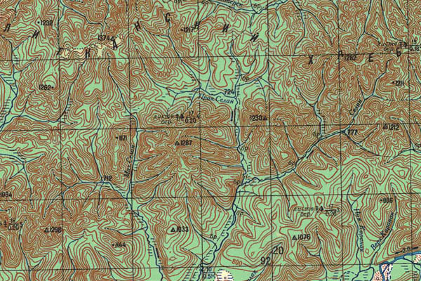 Уменьшенный фрагмент представленной топографической карты N-53-26 - Trasa.ru