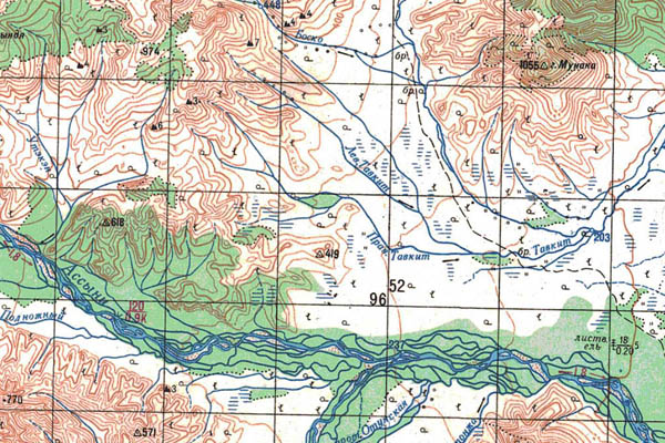 Уменьшенный фрагмент представленной топографической карты N-53-28 - Trasa.ru