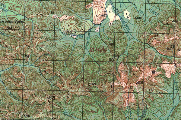Уменьшенный фрагмент представленной топографической карты N-53-29 - Trasa.ru