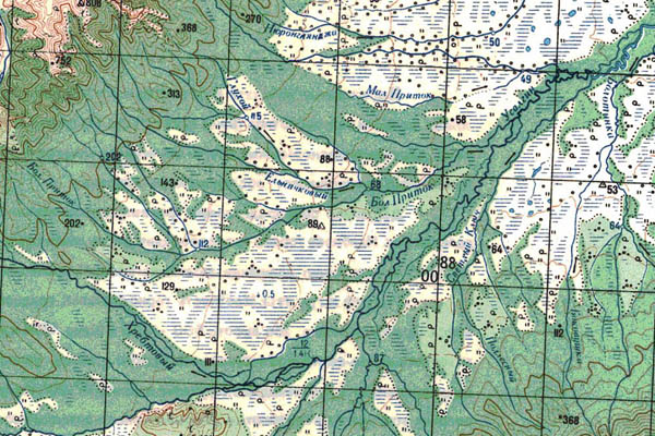 Уменьшенный фрагмент представленной топографической карты N-53-30 - Trasa.ru