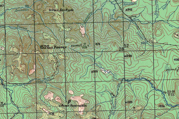 Уменьшенный фрагмент представленной топографической карты N-53-31 - Trasa.ru