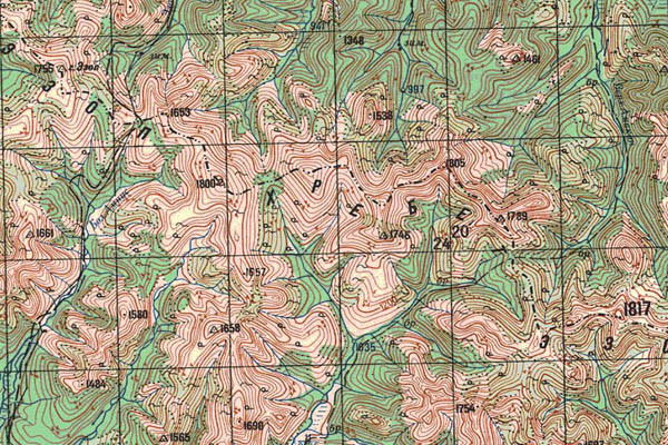 Уменьшенный фрагмент представленной топографической карты N-53-32 - Trasa.ru