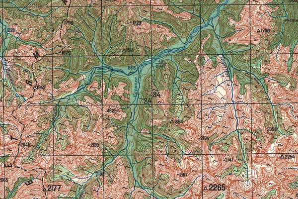 Уменьшенный фрагмент представленной топографической карты N-53-33 - Trasa.ru