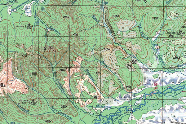 Уменьшенный фрагмент представленной топографической карты N-53-34 - Trasa.ru