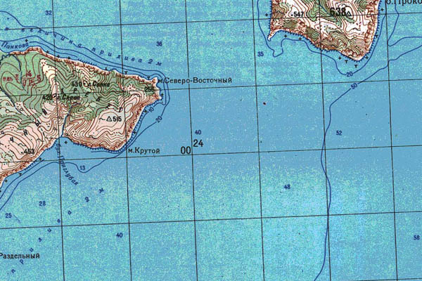 Уменьшенный фрагмент представленной топографической карты N-54-07 - Trasa.ru
