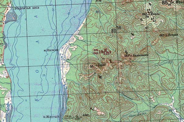 Уменьшенный фрагмент представленной топографической карты N-54-19 - Trasa.ru