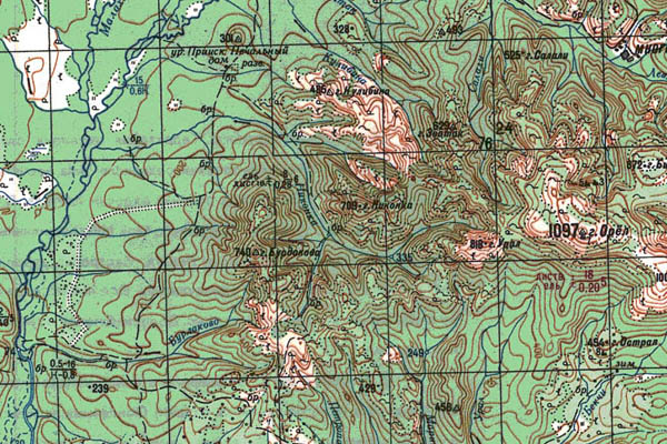 Уменьшенный фрагмент представленной топографической карты N-54-20 - Trasa.ru