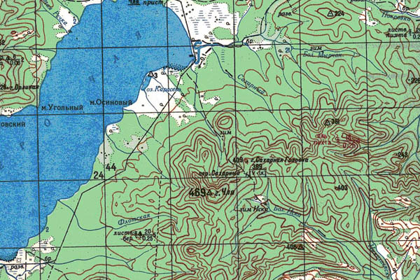 Уменьшенный фрагмент представленной топографической карты N-54-21 - Trasa.ru