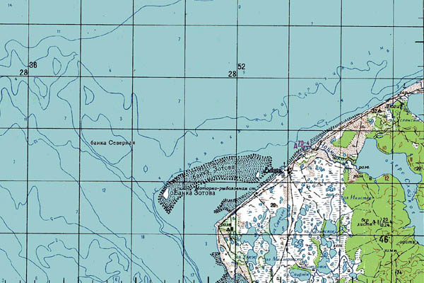 Уменьшенный фрагмент представленной топографической карты N-54-22 - Trasa.ru