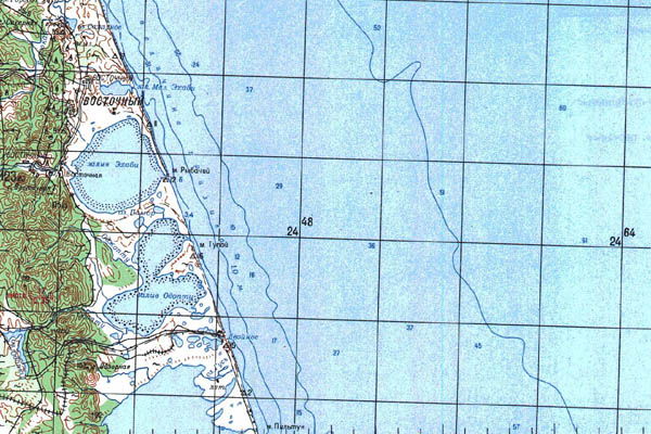 Уменьшенный фрагмент представленной топографической карты N-54-24 - Trasa.ru
