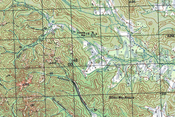 Уменьшенный фрагмент представленной топографической карты N-54-25 - Trasa.ru