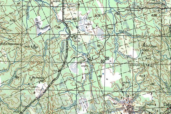 Уменьшенный фрагмент представленной топографической карты N-54-29 - Trasa.ru