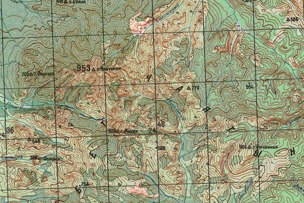 Уменьшенный фрагмент представленной топографической карты N-54-31 - Trasa.ru