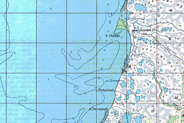 Уменьшенный фрагмент представленной топографической карты N-54-34 - Trasa.ru