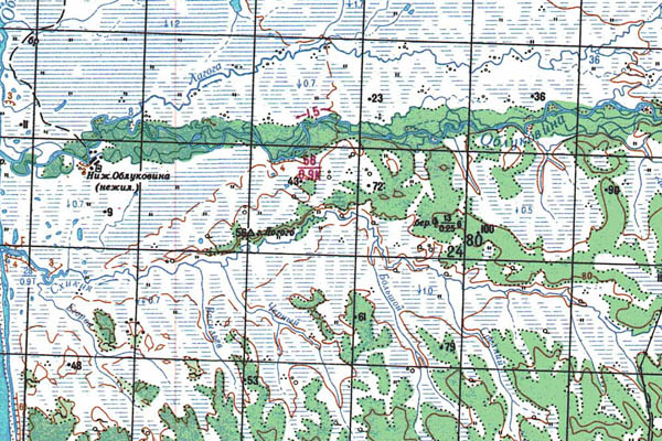 Уменьшенный фрагмент представленной топографической карты N-56-12 - Trasa.ru