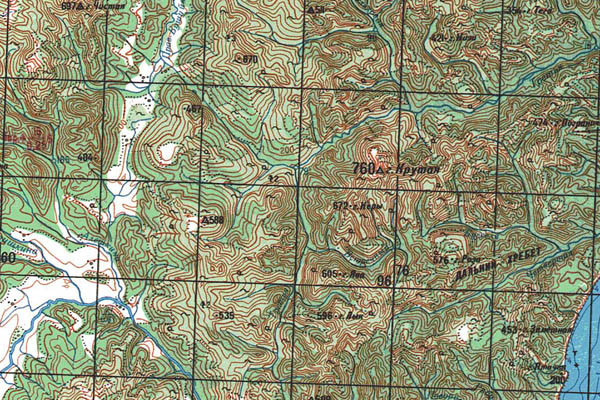 Уменьшенный фрагмент представленной топографической карты N-57-06 - Trasa.ru