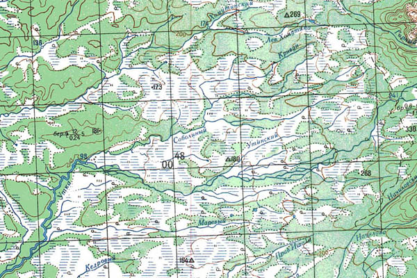 Уменьшенный фрагмент представленной топографической карты N-57-25 - Trasa.ru