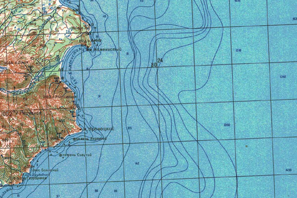 Уменьшенный фрагмент представленной топографической карты N-58-07 - Trasa.ru