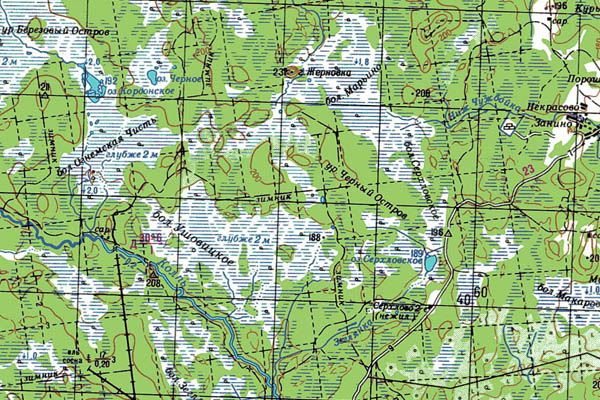 Уменьшенный фрагмент представленной топографической карты O-36-06 - Trasa.ru