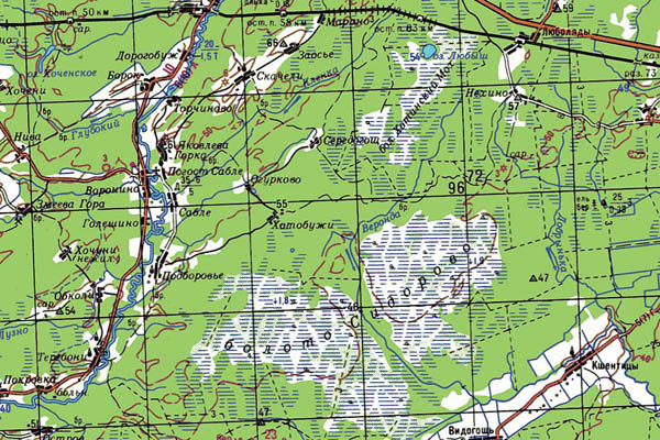 Уменьшенный фрагмент представленной топографической карты O-36-13 - Trasa.ru
