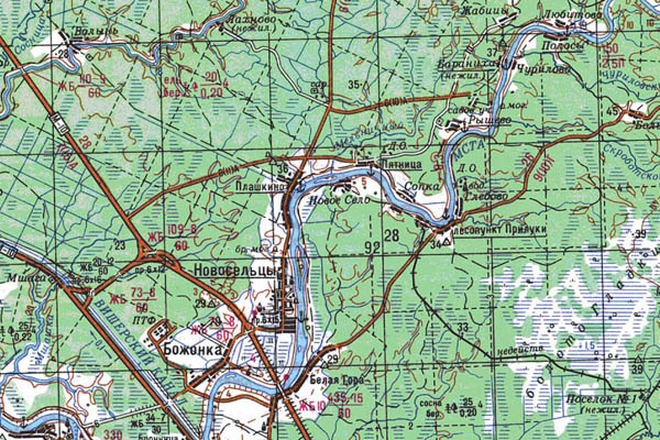 Уменьшенный фрагмент представленной топографической карты O-36-14 - Trasa.ru