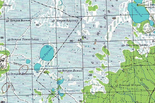 Уменьшенный фрагмент представленной топографической карты O-36-25 - Trasa.ru