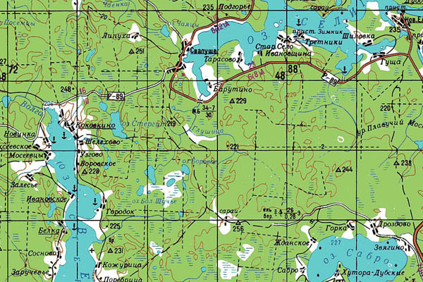 Уменьшенный фрагмент представленной топографической карты O-36-27 - Trasa.ru