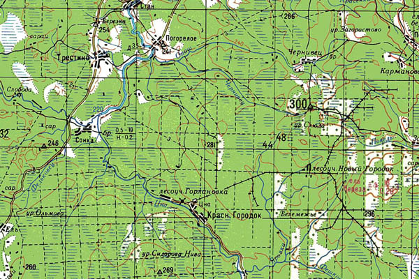 Уменьшенный фрагмент представленной топографической карты O-36-28 - Trasa.ru