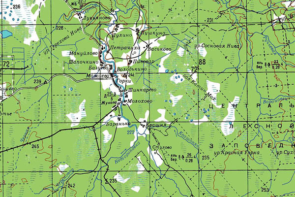 Уменьшенный фрагмент представленной топографической карты O-36-33 - Trasa.ru